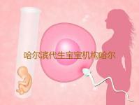 哈尔滨代生宝宝机构哈尔滨卵巢早衰做试管最火热医院排名‘13周+4天b超单男宝数据图’