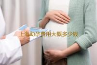 上海助孕费用大概多少钱上海三代试管可以放双胞胎试管吗